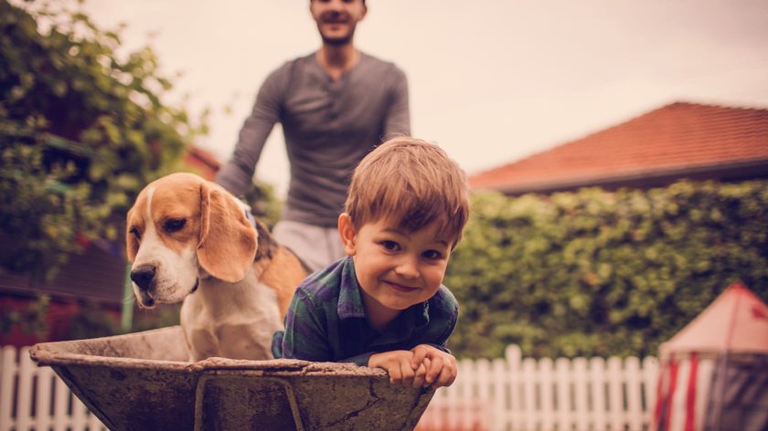 Child and dog in a wheelbarrel