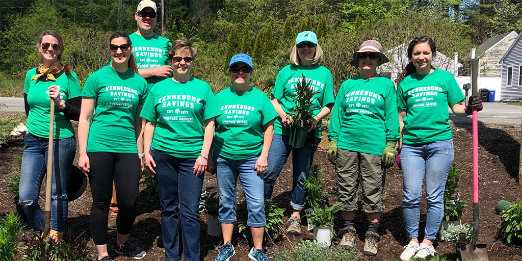 Kennebunk Savings volunteers planting shrubs